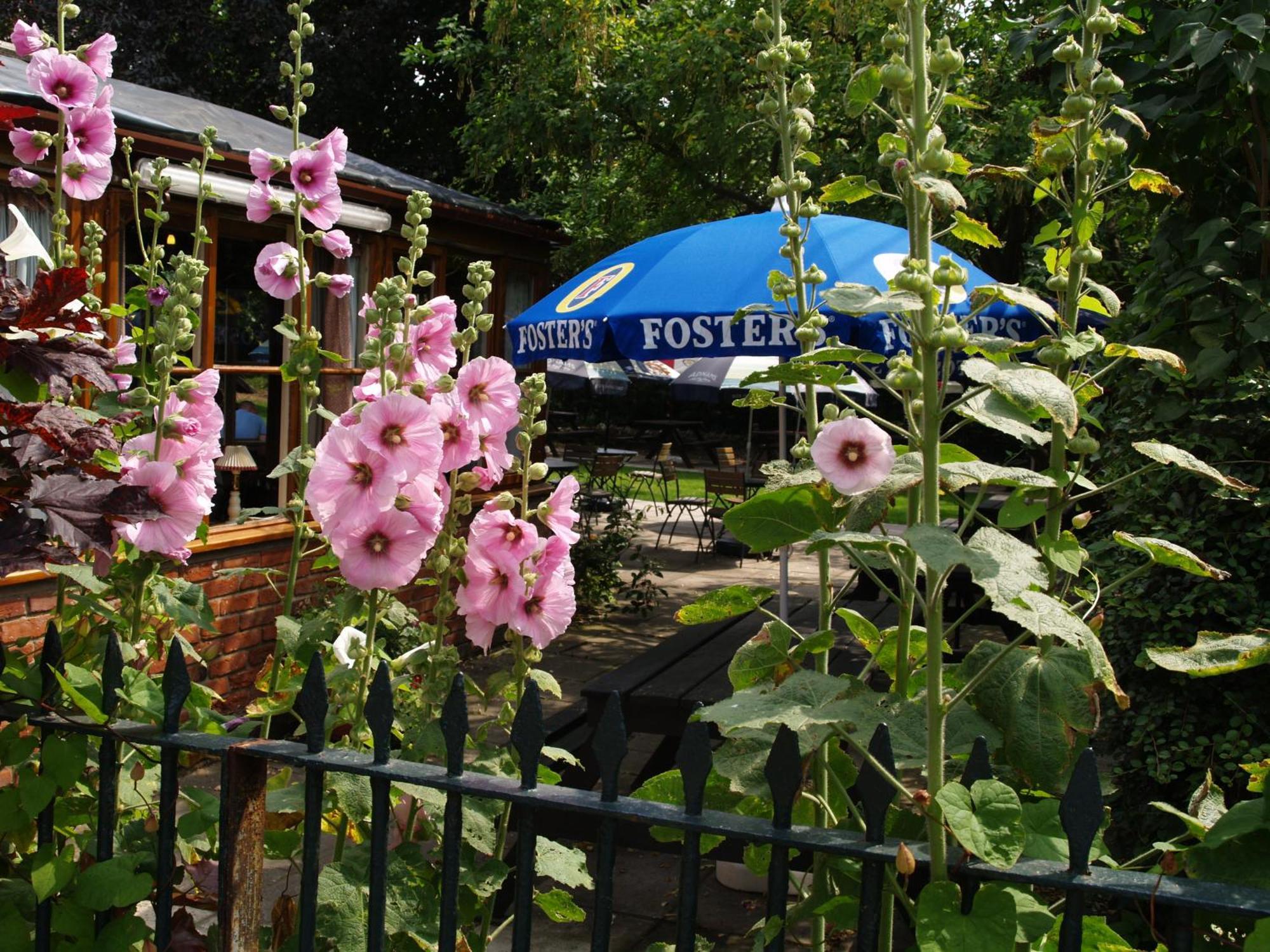 The Olde Windmill Inn Great Cressingham Екстер'єр фото